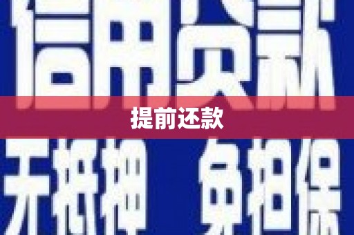 黔西提前还款