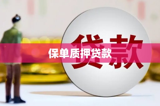 黔西保单质押贷款