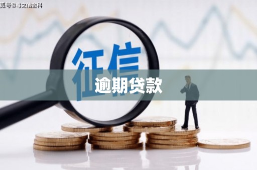 黔西逾期贷款