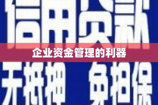 黔西企业资金管理的利器