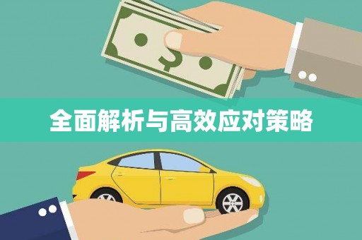 黔西全面解析与高效应对策略