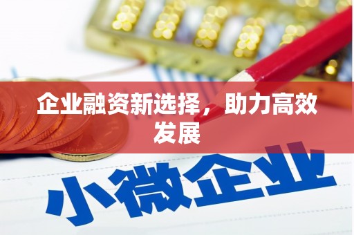 黔西企业融资新选择，助力高效发展