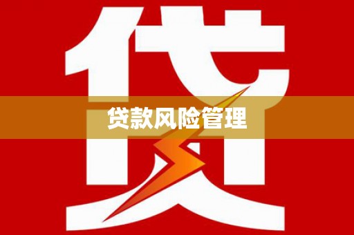 黔西贷款风险管理