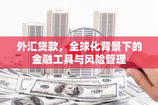 黔西外汇贷款，全球化背景下的金融工具与风险管理